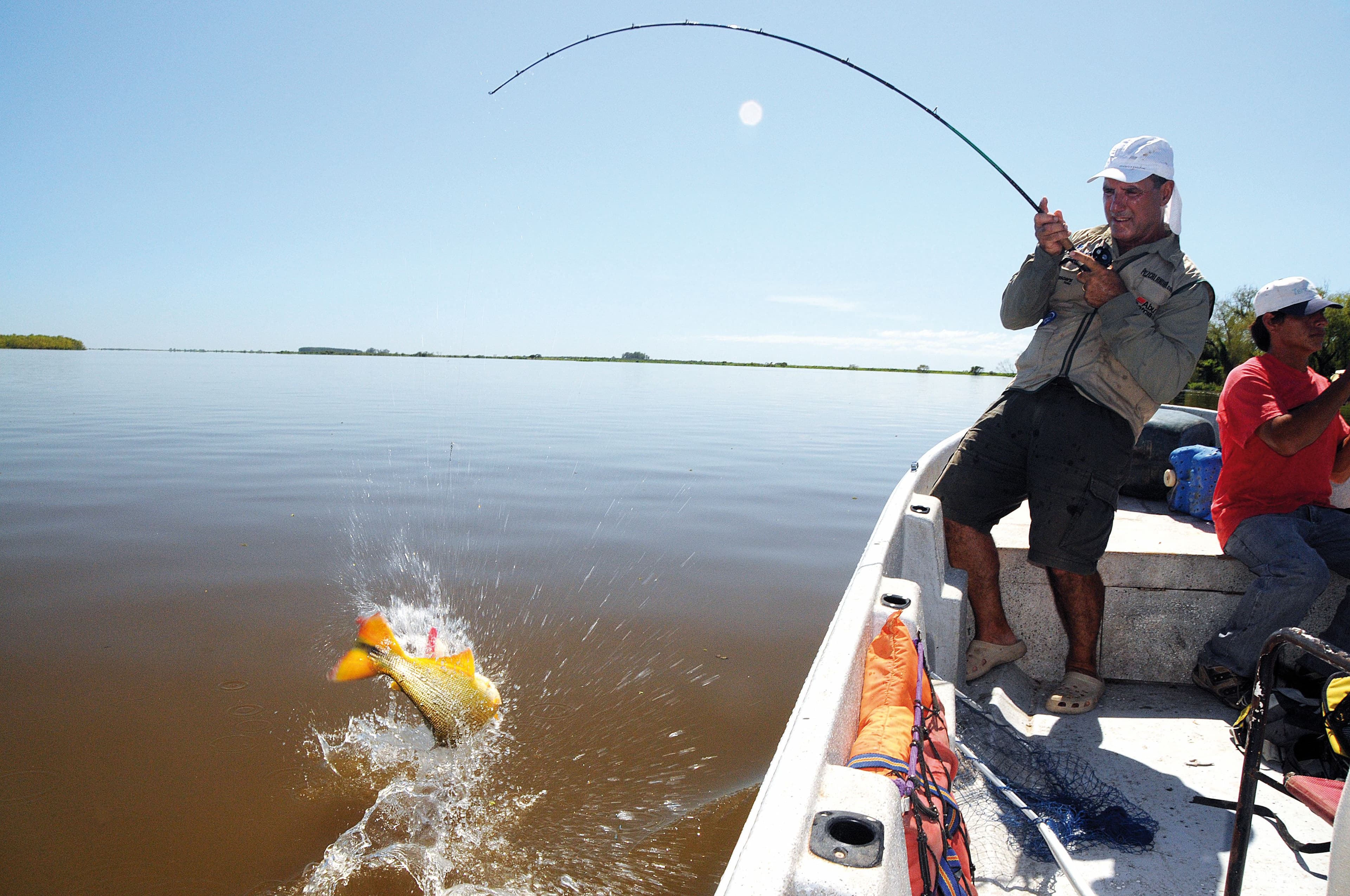 Pesca del dorado: La e...