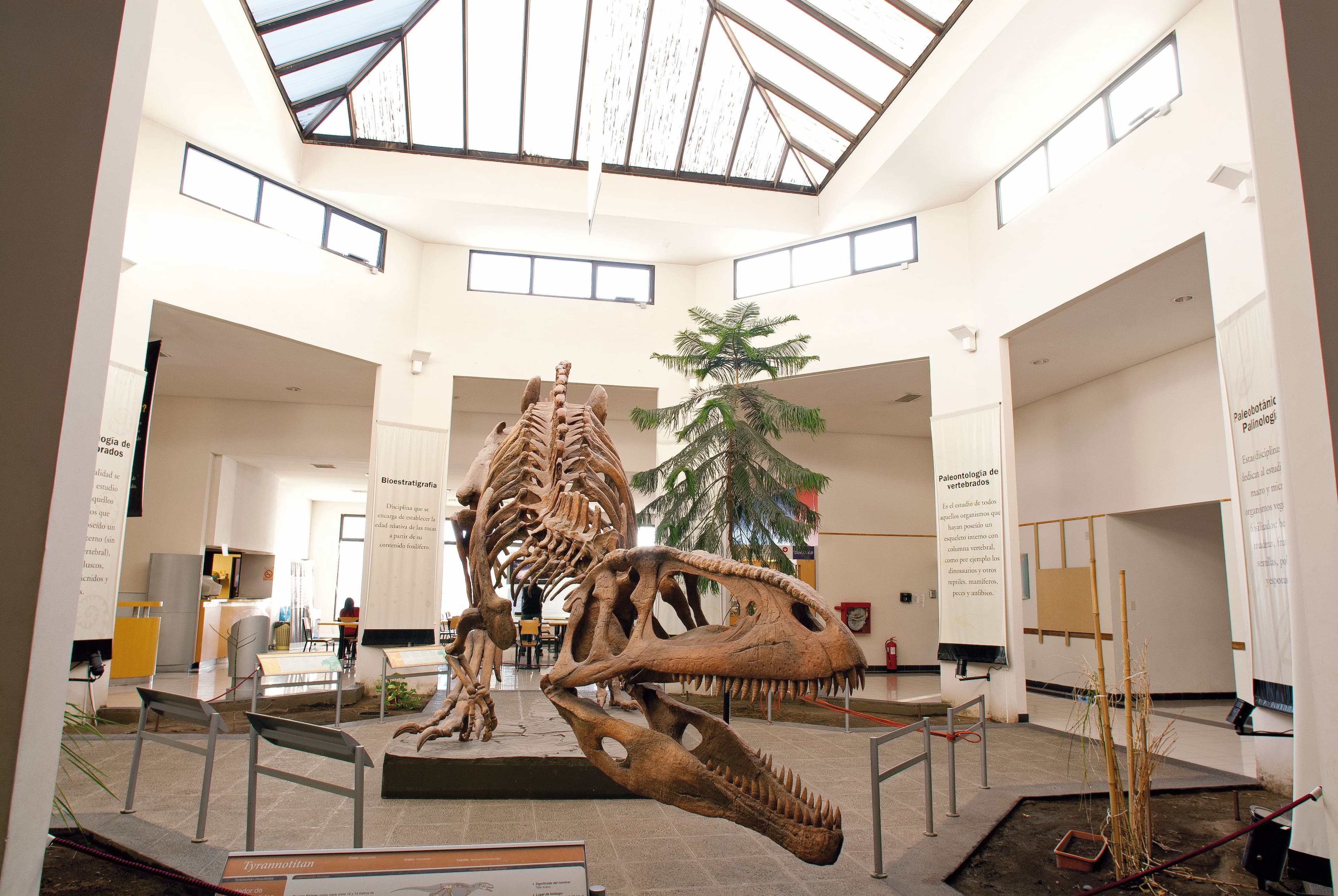 Museo Paleontológico E...